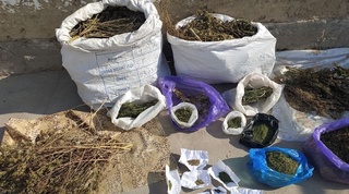 Уйдан 8 кг. оғирликдаги гиёҳвандлик воситаси аниқланди