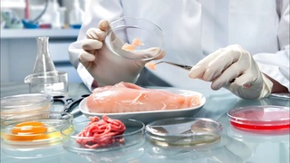 Oziq-ovqat mahsulotlariga sanitariya-epidemiologik xulosa 3-yil muddatga beriladi