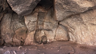 Amazonkada 2000 yillik qadimiy qoyatosh rasmlari topildi