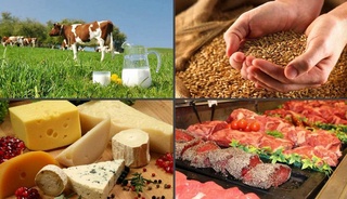 В Узбекистане запускается торговая платформа «Uzex Agro»