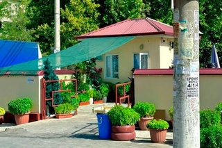 «Бир миллион жасыл шаңарақ»