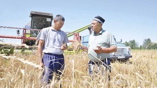 Развитие  сельского хозяйства служит повышению благосостояния населения, изобилию сельхозпродукции на рынках