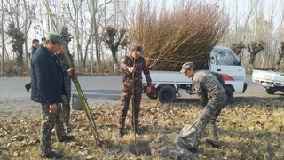 Что показал мониторинг окружающей среды?