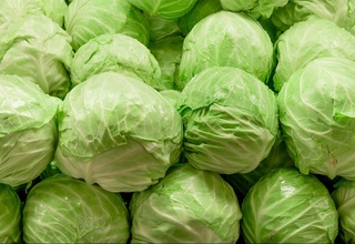 Diyetolog eng foydali sabzavot nomini aytdi