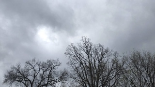 Эртага Республикамизда ҳаво бироз булутли бўлади