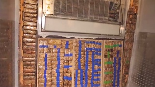 Ойбек чегара постида божхоначилар 229 кг 719 грамм гиёҳвандлик воситаларини тўхтатиб қолди