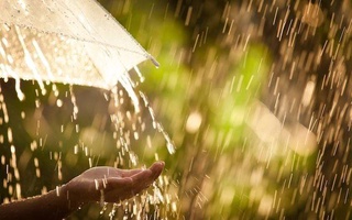 Прогноз погоды на выходные: узбекистанцев ждут дождь, грозы и ветер