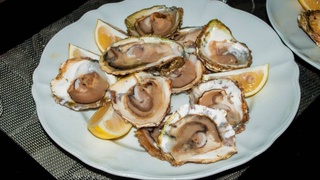 Dangerous fiberglass was found in oysters and mussels