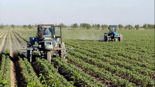 A subsidy of 1 million soums per hectare will be allocated to users of agricultural land