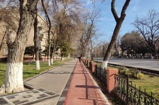 Dry and warm weather awaits Uzbek citizens for the weekend