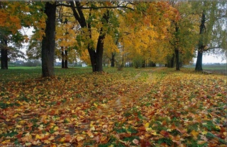 Прогноз погоды на 20 ноября