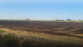 Атмосферани ифлослантирган 117 нафар мансабдор шахсга чора кўрилди