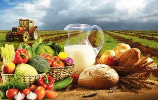 Жер ҳәм суў аўыл хожалығының тәғдирин шешеди