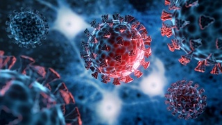 Коронавируснинг кам учрайдиган аломатлари маълум бўлди