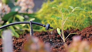 Цифровая ирригация - опыт, набирающий популярность