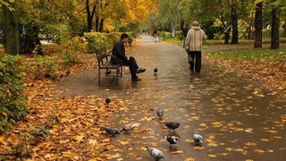 Прогноз погоды на 10 ноября