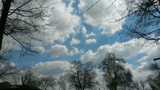 Неделя ожидается без осадков