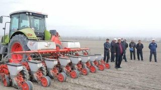 В Мингбулакском районе намерены получить 50,5 тыс. тонн хлопка-сырца