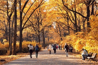 Прогноз погоды на 17 ноября