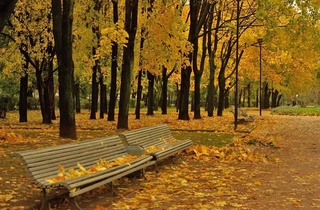 Прогноз погоды на 28 октября