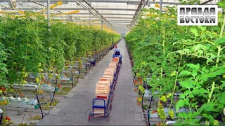 Высококвалифицированные кадры - гарант развития аграрной отрасли