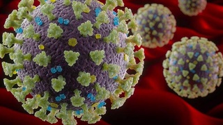 Ученые выделили шесть форм Covid-19