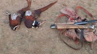 Ноқонуний ов қилган овчи қўлга тушди