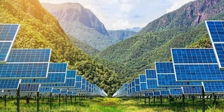 Агровольтаика — қишлоқ хўжалигида янги ва самарали усул