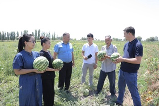 Жерге меҳир берип, елге берекет дарытып атырғанлар