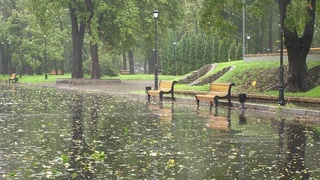 Прогноз погоды на 24 мая