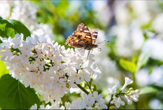 Прогноз погоды на 18 апреля