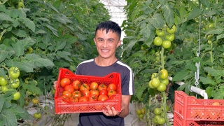 Ташкентский район: весомые результаты реформ