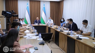 Состоялось заседание Рабочей группы Комитета по вопросам науки, образования и здравоохранения