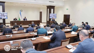 Удовлетворены ли сенаторы результатами парламентского запроса?