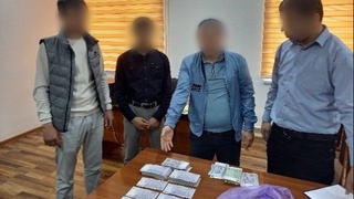 Tovlamachilik yoʻli bilan pul undirmoqchi boʻlgan soxta “bloger” ushlandi