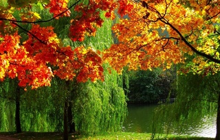 Weather forecast for September 12th