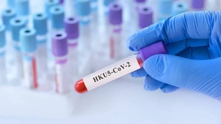 Новый смертоносный вирус обнаружен в Китае - по словам ученых, он опаснее COVID-19