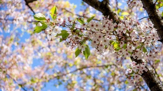 Dam olish kunlari harorat asta-sekin koʻtariladi