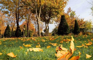 Uzhydromet: gradual cooling will begin in Uzbekistan from September 25