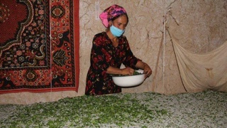 Домашний способ выращивания коконов