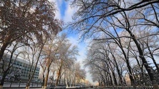 Ҳафта ўртасида ҳарорат пасайиши кутилмоқда