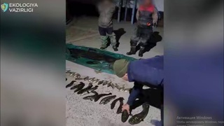 Sirdaryoda 37 dona baliqni noqonuniy ovlaganlar hayvonot dunyosiga 360 million soʻm zarar yetkazdi