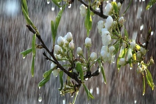 Weather forecast for March 6