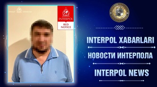 Oʻzbekiston Interpol xodimlari yirik firibgarni qoʻlga oldi