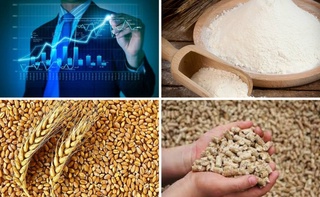 На Узбекской республиканской товарно-сырьевой бирже снизились цены на муку, пшеницу и шрот