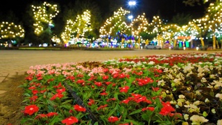 В Намангане завершается подготовка к Фестивалю цветов