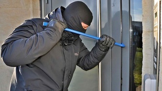 Оҳангаронда 4 киши фермер хўжалигига босқинчилик уюштирди