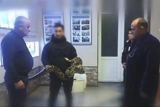 Житель Самарканда незаконно содержал тигрового питона