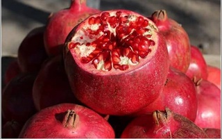 Дар вилояти Сирдарё навъҳои беҳтарини анори озарбойҷонӣ парвариш карда мешаванд