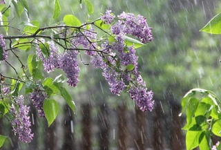 Прогноз погоды на 12 апреля